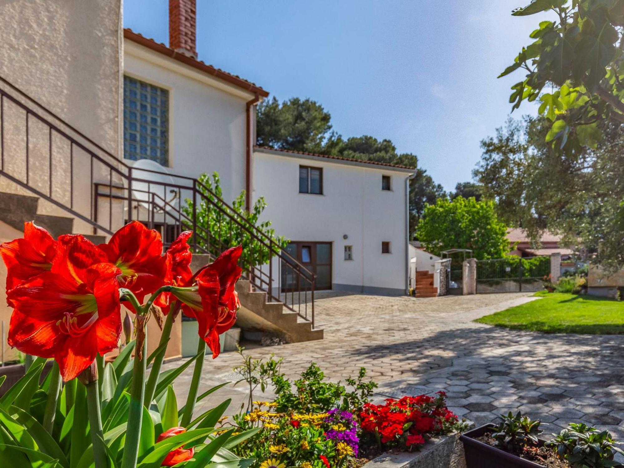Apartment Vladimir - Pul237 By Interhome Banjole Εξωτερικό φωτογραφία